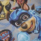 Minymo T-skjorte Barn Langermet Paw Patrol Grey Melange thumbnail